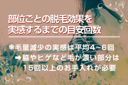 2-2.部位ごとの脱毛効果を実感するまでの目安回数