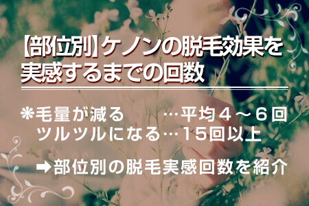 2.ケノンで効果を実感できるまでの回数(部位ごとの目安)