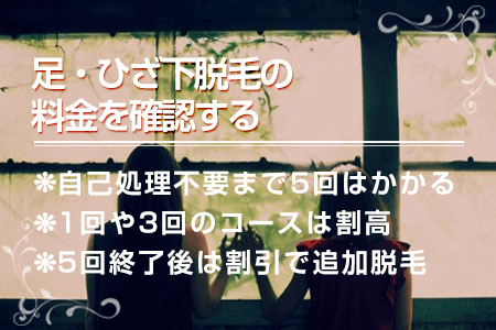 足・ひざ下脱毛の料金を確認する