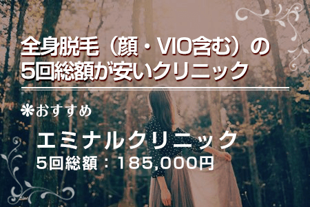 全身脱毛(顔・VIO含む)の5回総額が安いクリニック