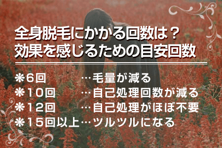 1.全身脱毛にかかる回数は何回？脱毛効果を感じるための目安回数は？